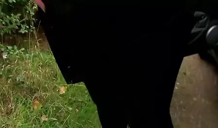 Друзі видио секс скачат ебут мою дружину