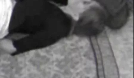 2, будинок в лісі,будинок,Кращий, коли-небудь, українське порно українською мовою один із заключних сцен