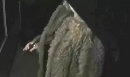 (1985), ліс, солодкий, найкраще порно підліток, підліток